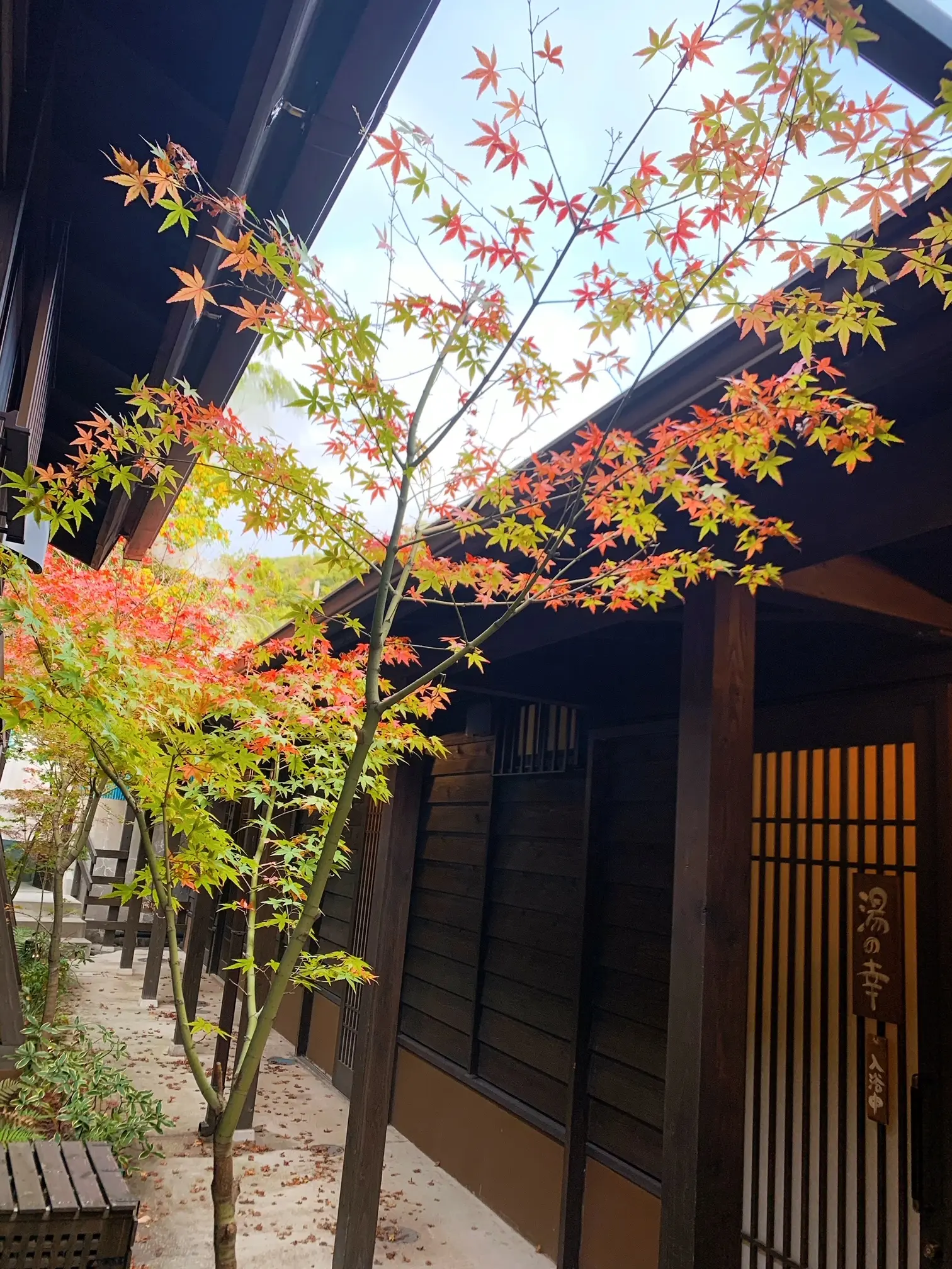 【女子旅】《露天風呂・すな湯・むし湯・貸切風呂・地獄蒸し》を堪能できるお洒落な温泉宿♡_2
