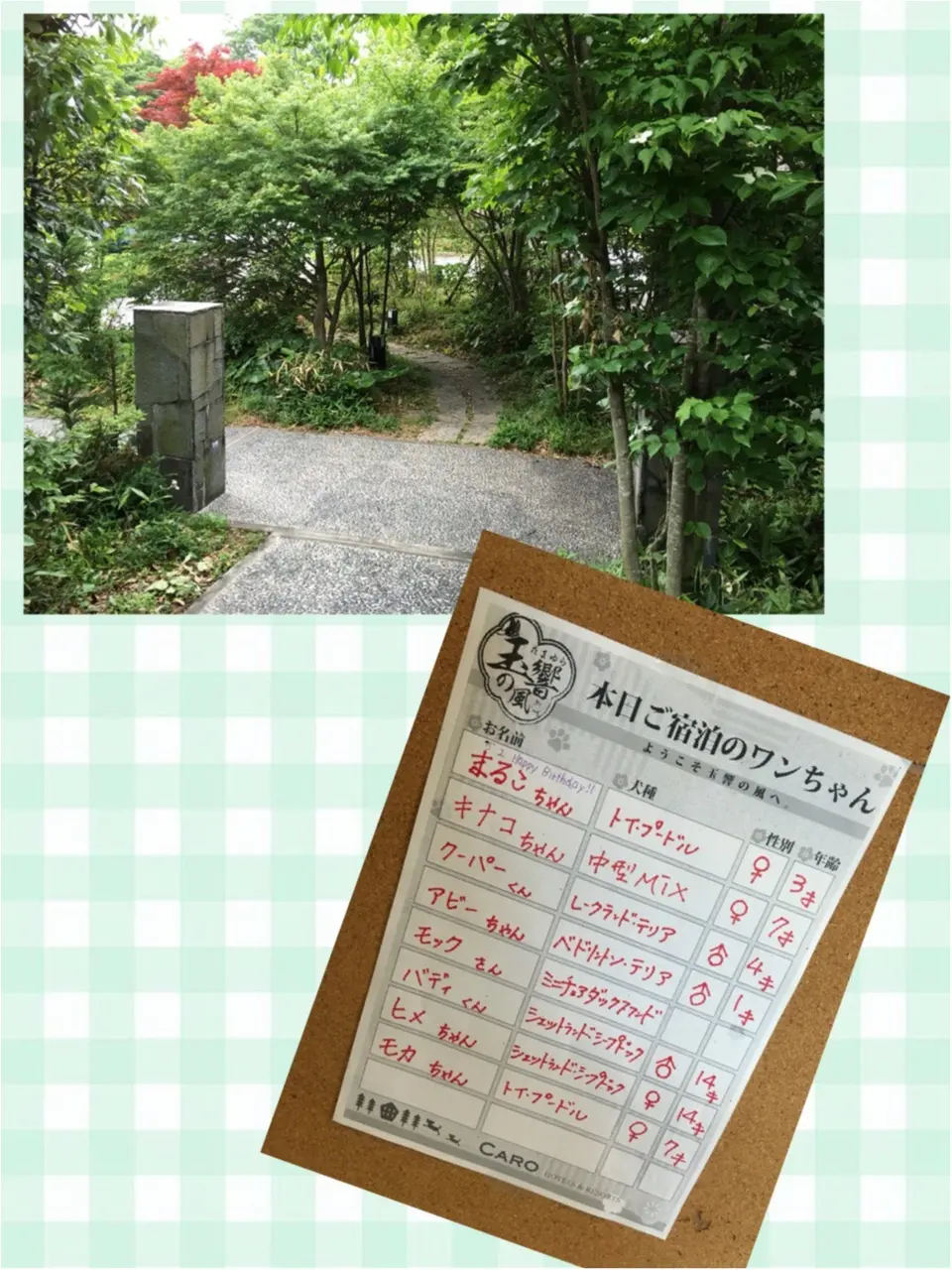 ♡旅行中でも太らないダイエットポイント♡モアハピ◡̈のぞみ♡_5