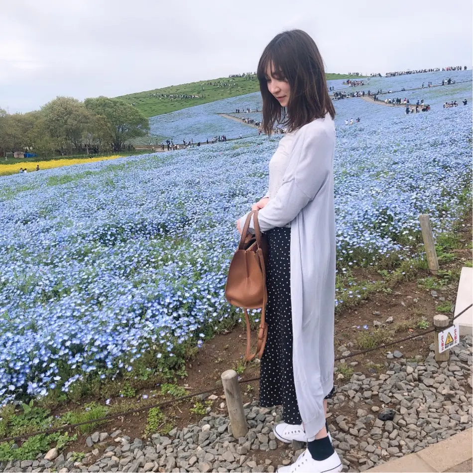 とっても可愛いネモフィラスイーツ…♡私はこちらのネモフィラを見に行きました!!_1