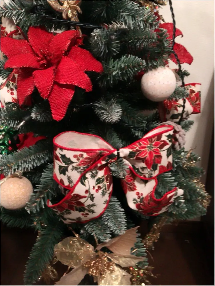 最近のファッション事情。わが家は既にクリスマスモードです♡_3