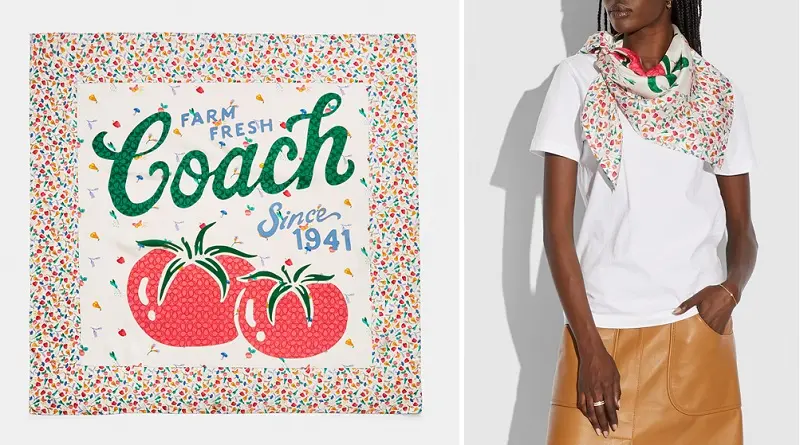 母の日ギフトおすすめのCOACHのスカーフ
