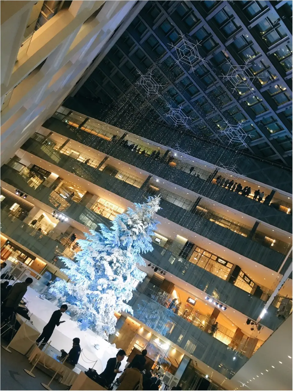 『KITTE』屋内に広がる白銀の世界…!日本最大級、本物のモミの木のクリスマスツリーが今年も点灯(*´ ˘ `*)♡_2