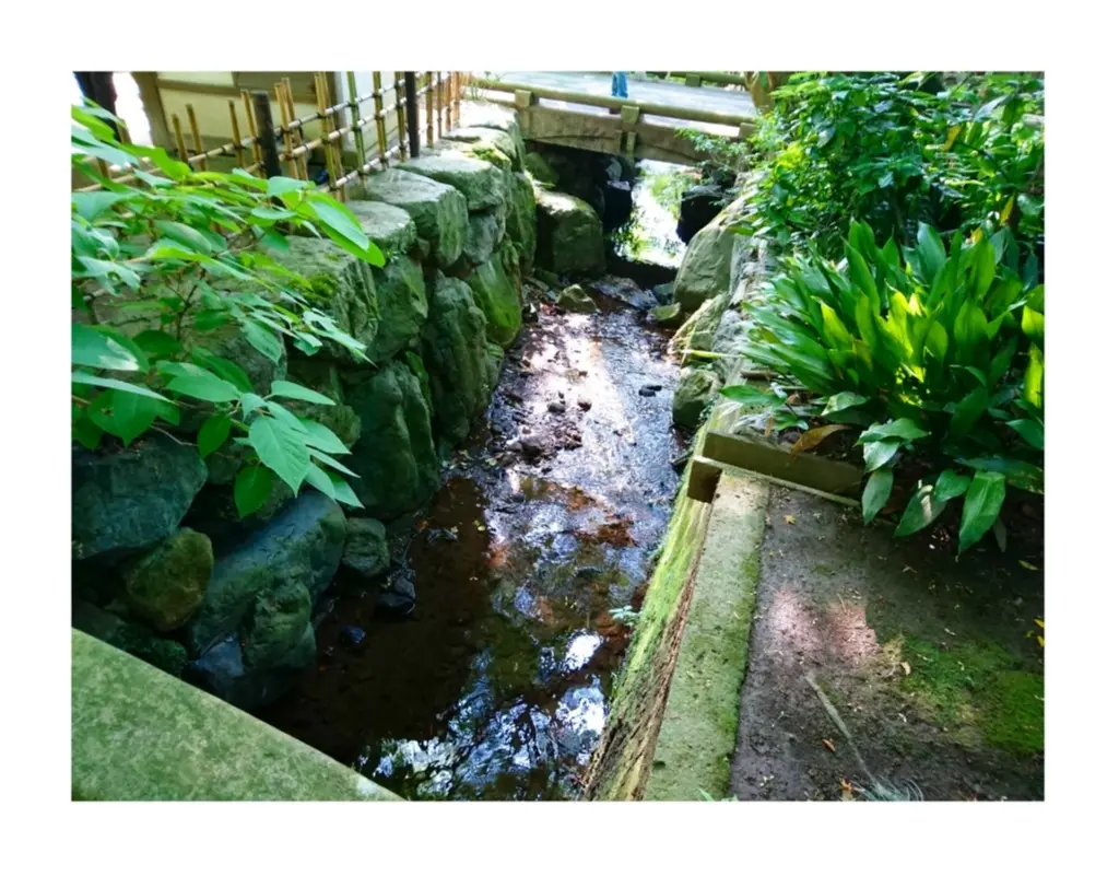 【散策】新緑が美しいこの季節は、鎌倉がおすすめ! ~ 紫陽花が見頃です ~ _5