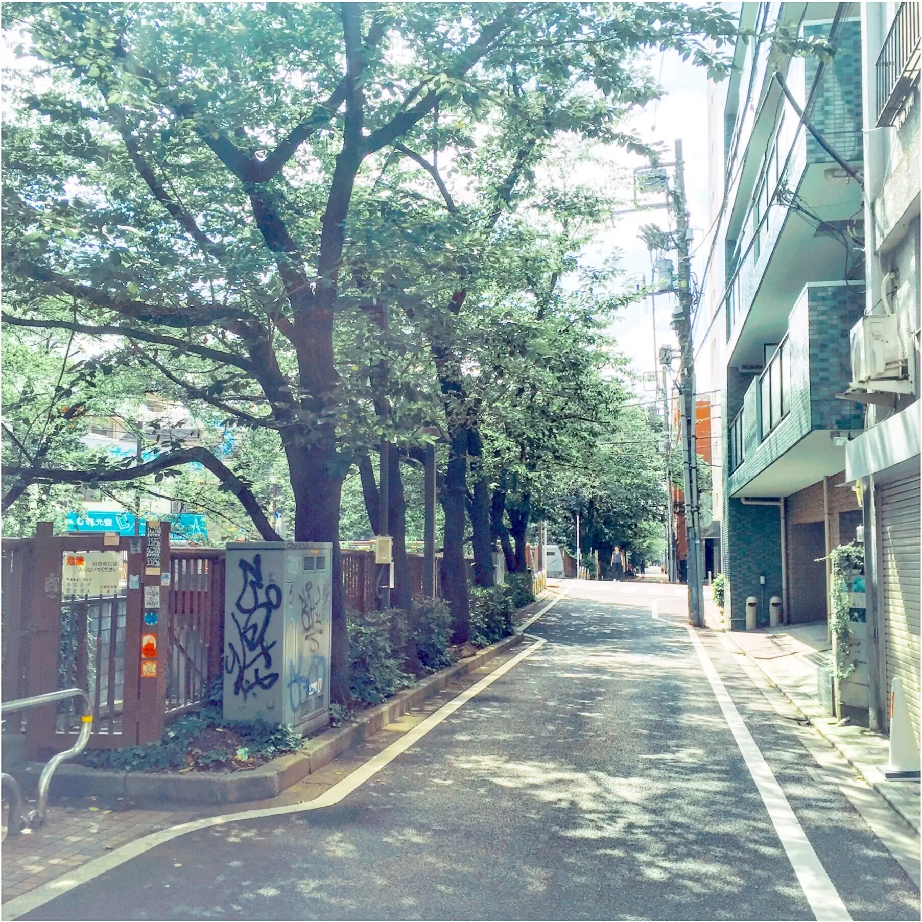 暑〜い夏のランニングを楽しむ3つの方法!_1
