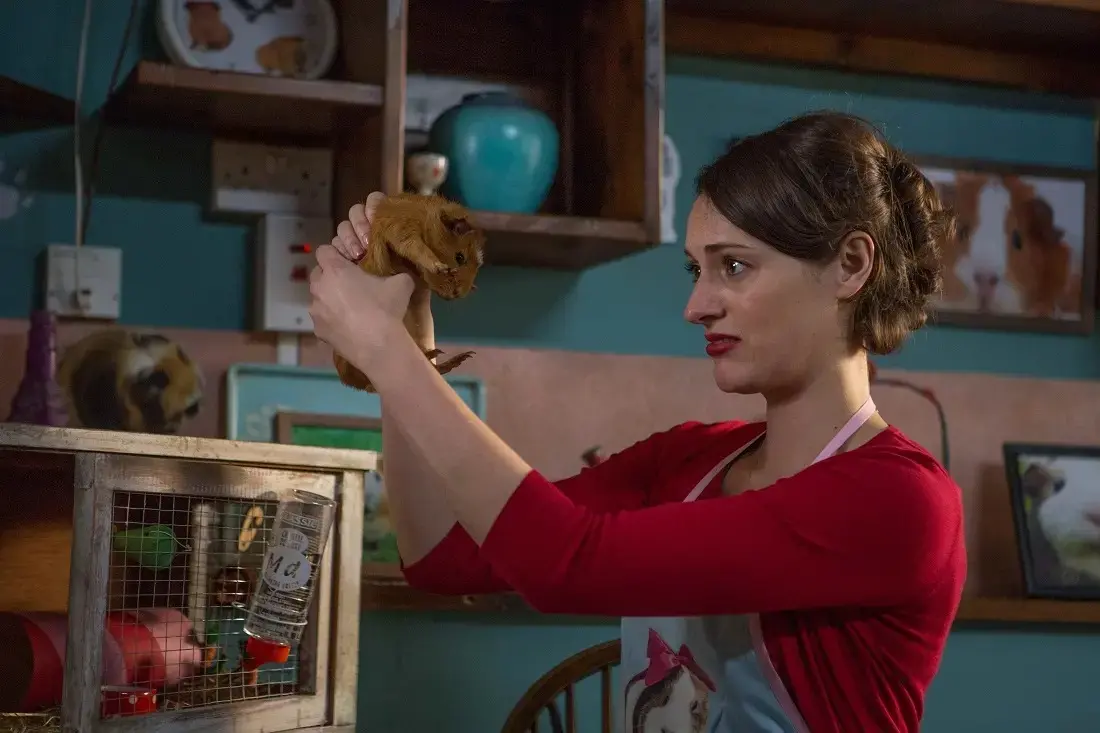 Amazon Prime Videoのおすすめ映画・ドラマ【3】『Fleabag フリーバッグ』