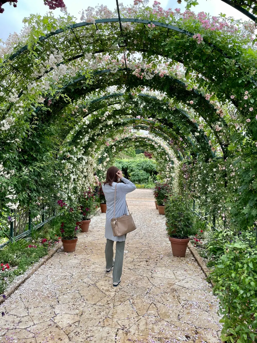 【薔薇満開】あしかがフラワーパークに行ってきました_4