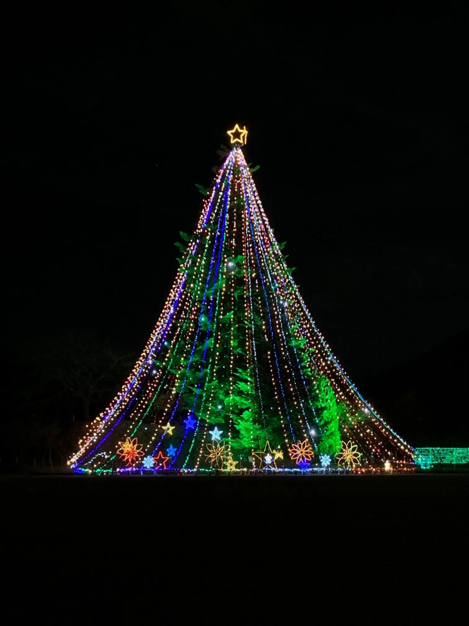 ★✳︎Xmasにおすすめ✳︎★神奈川県 宮ヶ瀬ダムのイルミネーション!!_3