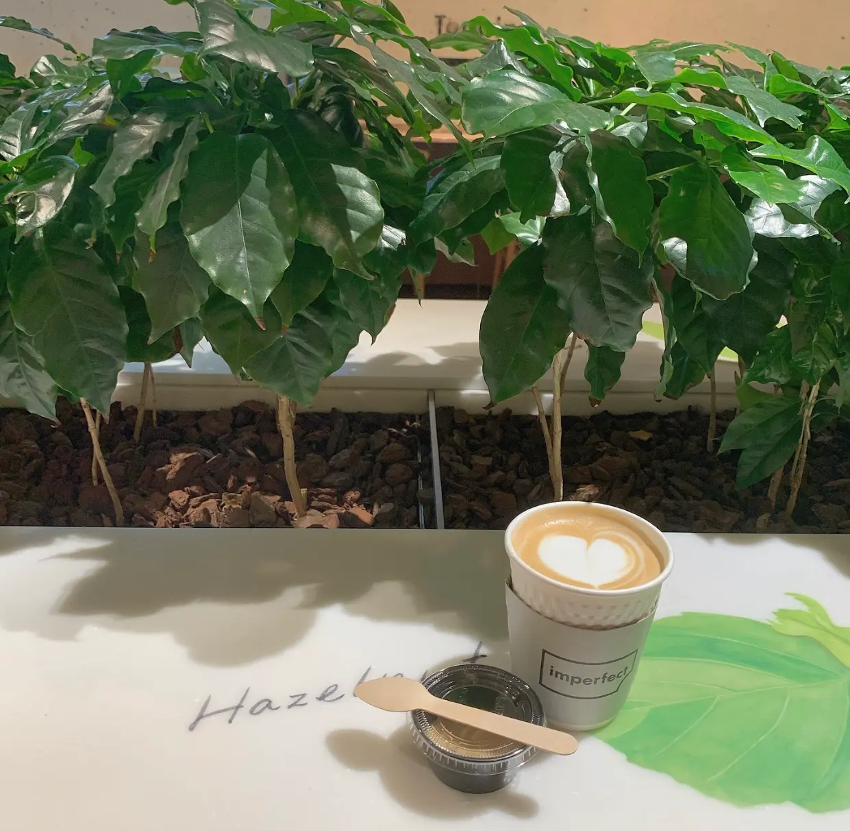 【表参道カフェ】ウェルフードマーケット&カフェに行ってきました✩*॰¨̮_4