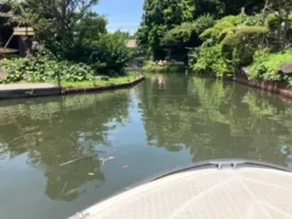 アニマルボードツアーズ