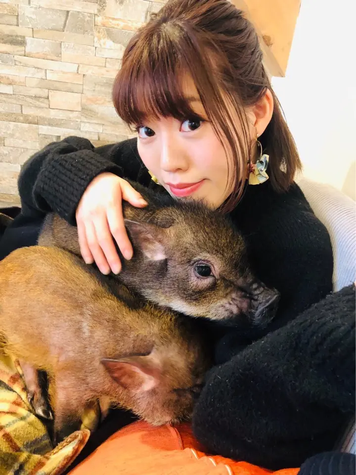 可愛すぎるマイクロブタちゃん♡動物カフェで1番のおすすめ!その魅力お伝えします☺︎!_5