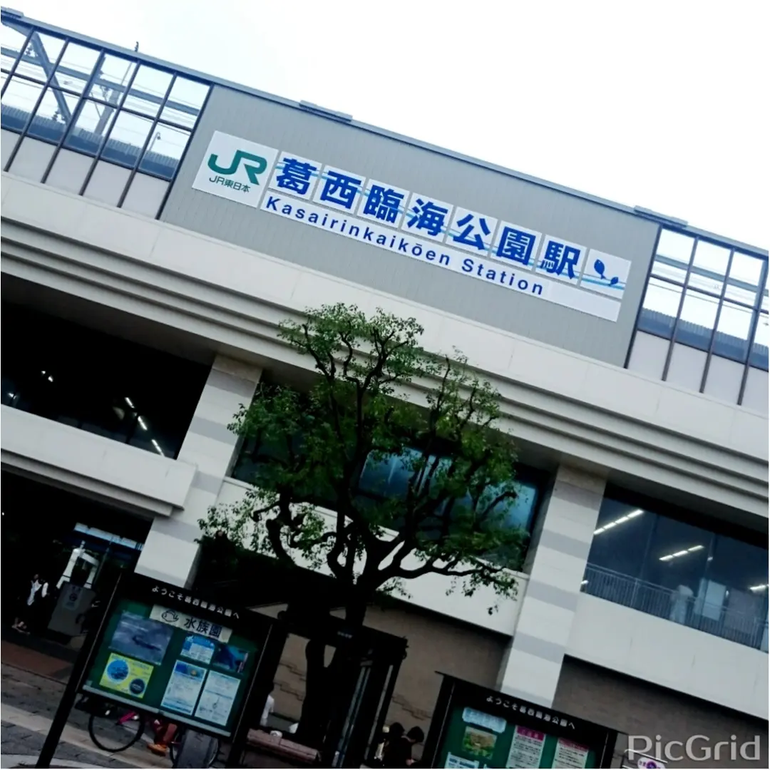 葛西臨海公園でバーベキュー!_1