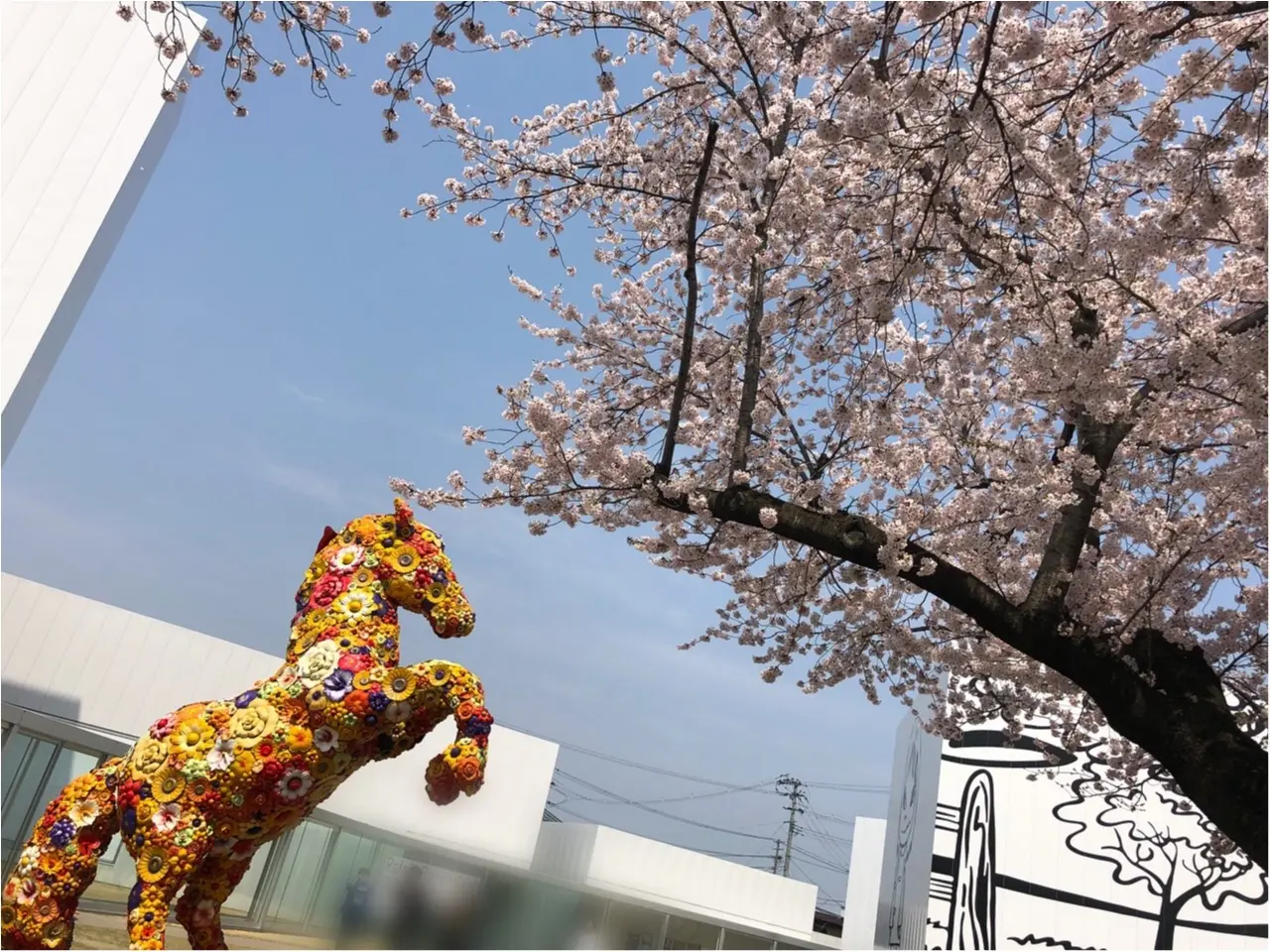 【あんバター好きのカフェ巡り】十和田の街中にある古民家カフェ『カフェミルマウンテン』で癒しのひとときを_6