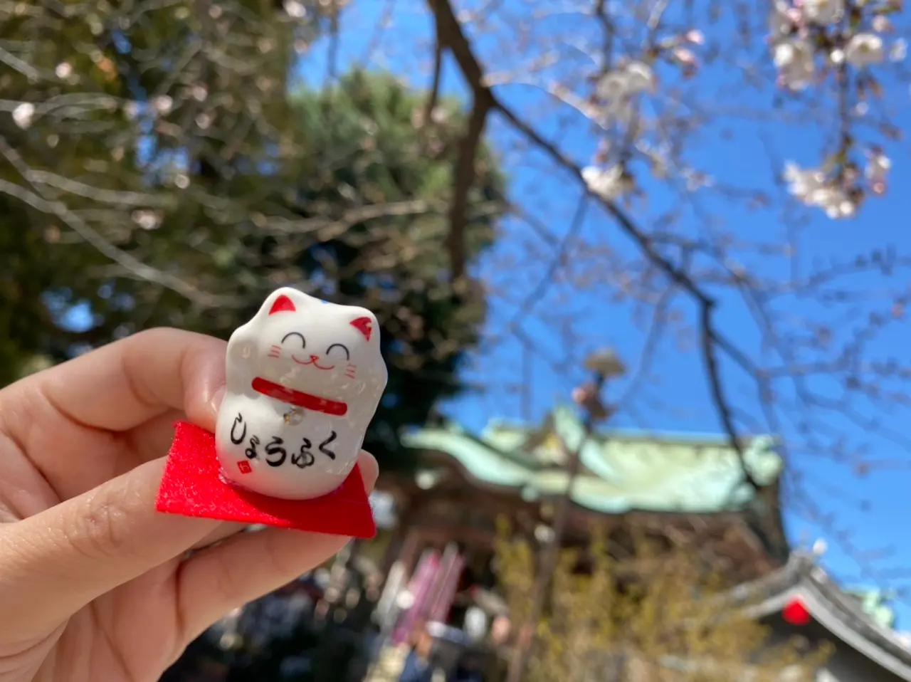 【恋つづ】ドラマ効果で大行列!聖地巡礼の地★恋愛成就の神様《今戸神社》へ♡_9