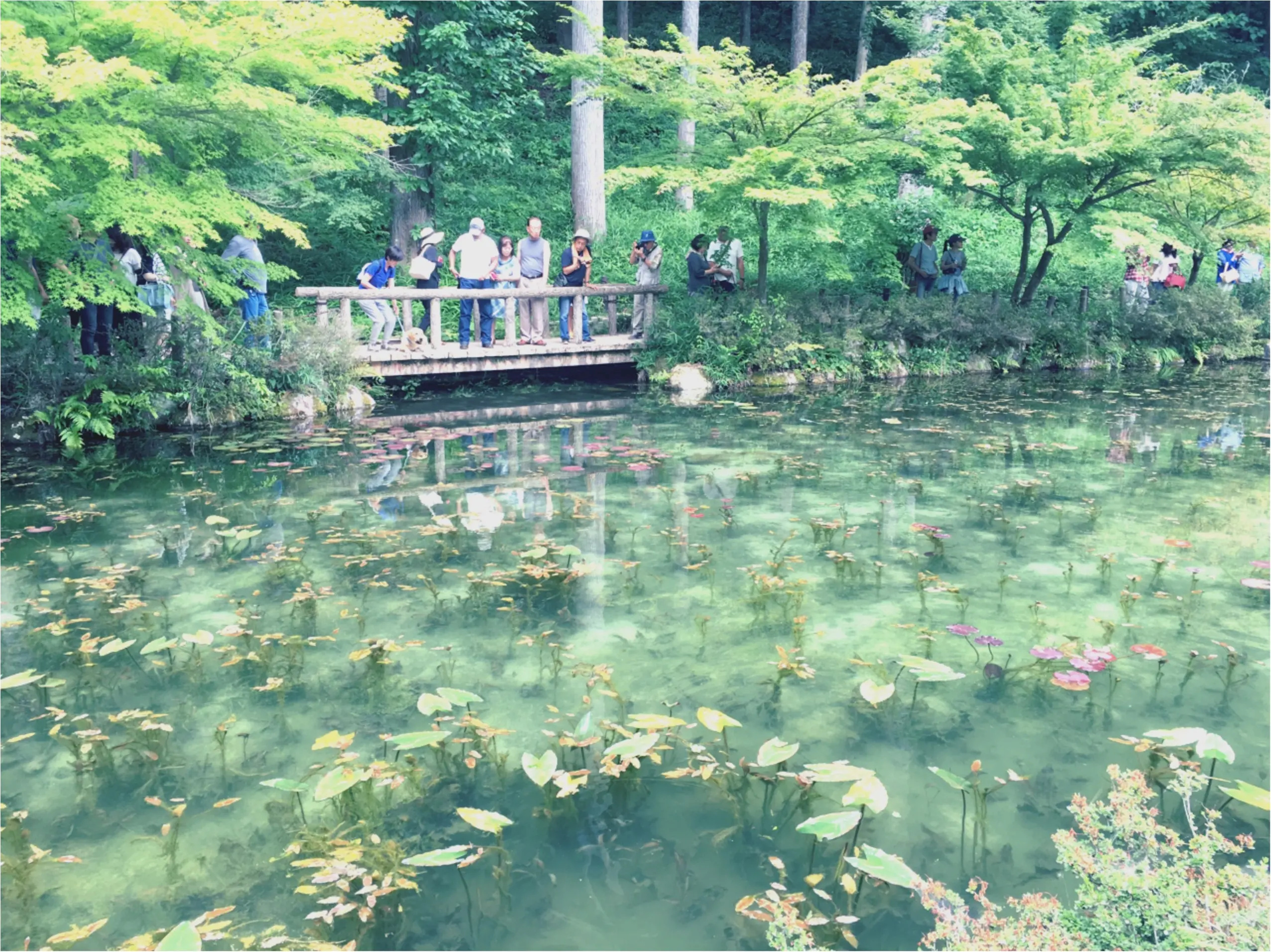 東海地区で話題な場所_2