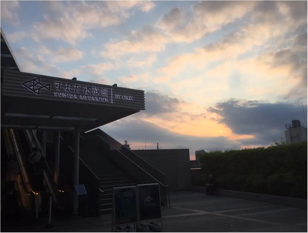 【6/18まで】すみだ水族館のスペシャルコラボ✨期間限定『ほたるの夜』でロマンチックな夜を♪♪ _2