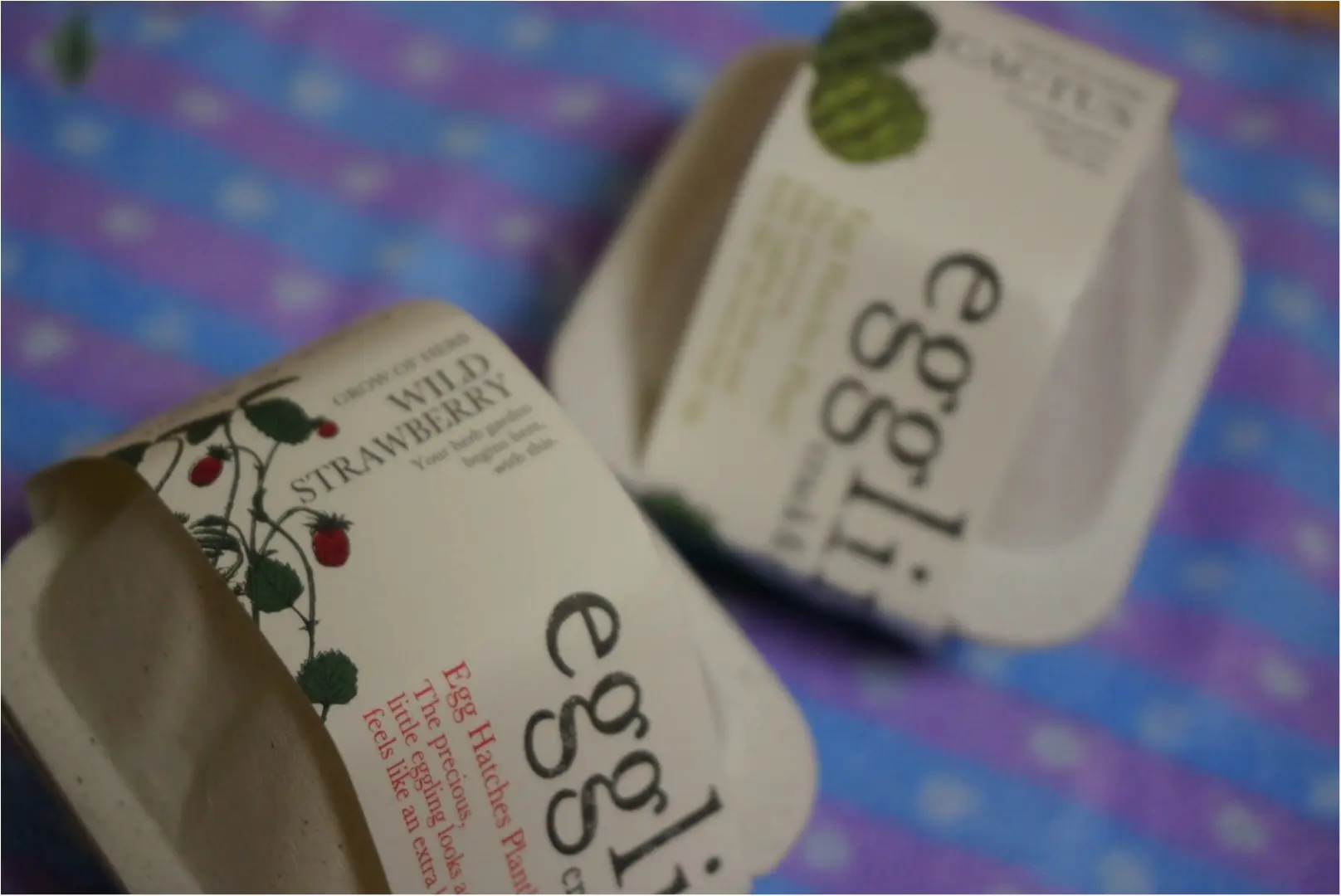 まるで本物のたまご⁉️egglingシリーズのワイルドストロベリーを育ててみよう( ´艸`)_2
