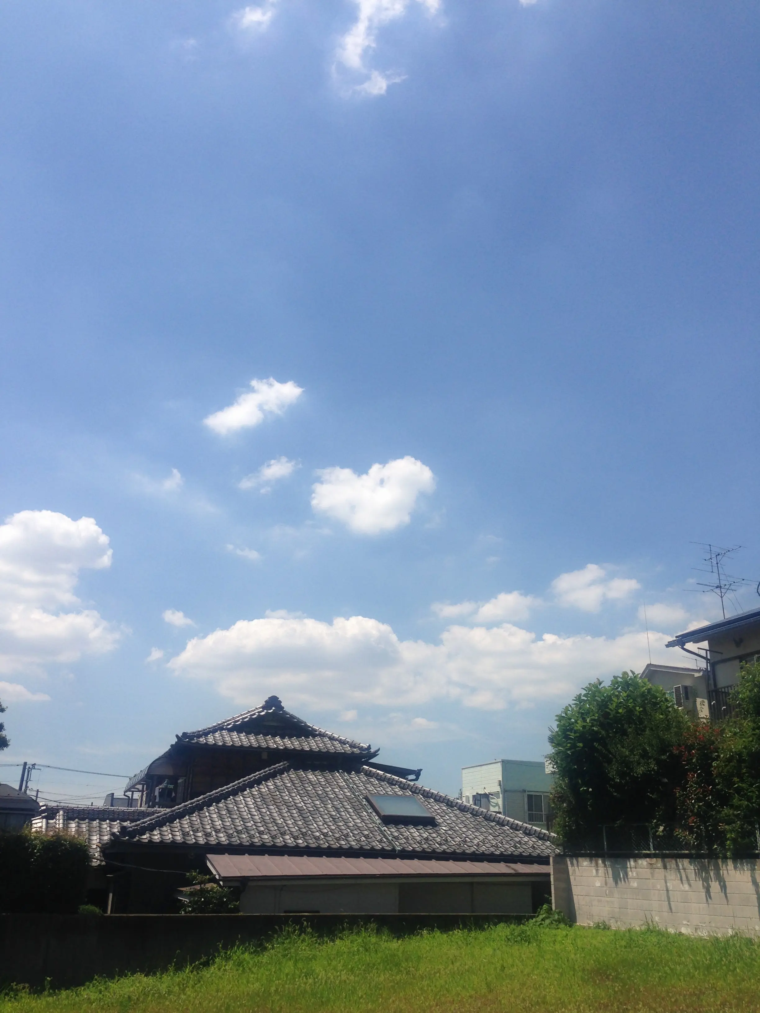 天気のように青空コーデ★【青✖︎青】夏だー!爽やかにいこーぜぇー❤️_3
