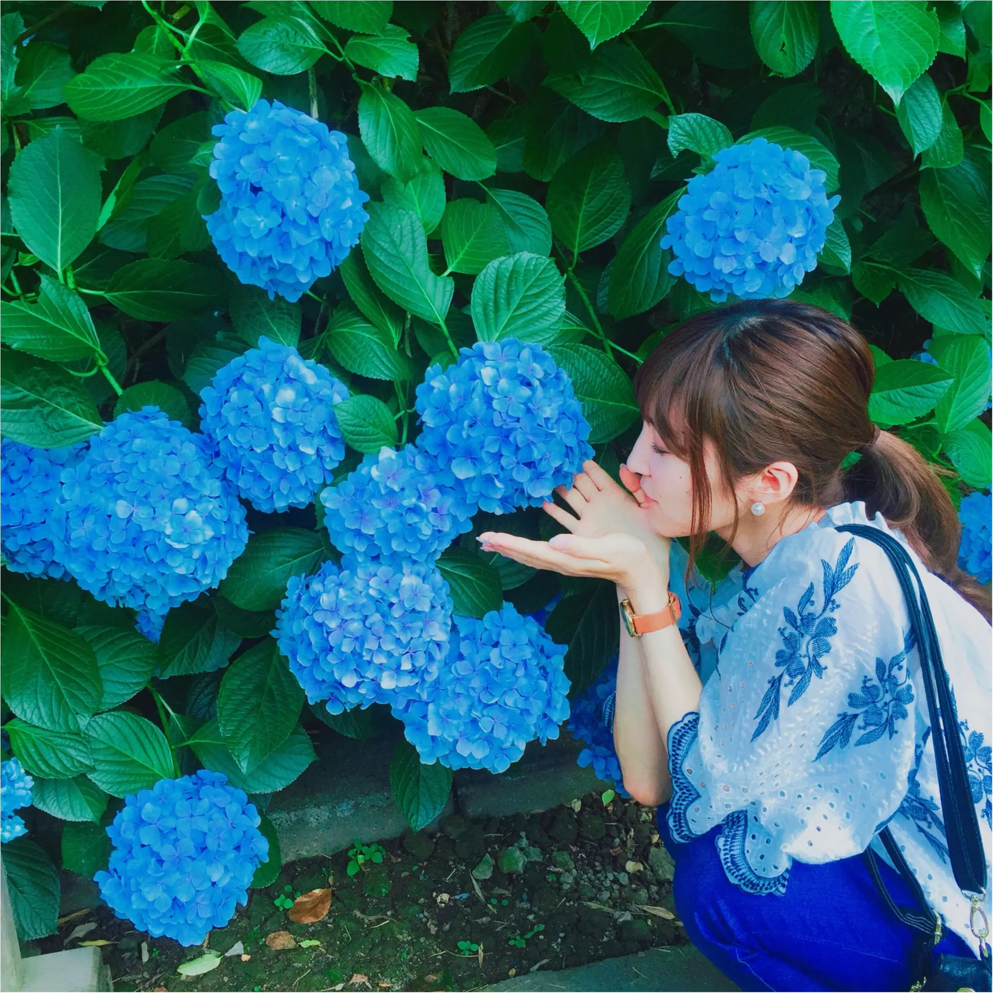 <紫陽花だらけのお寺?!>写真映え間違いなしの「明月院」とは…☻_1