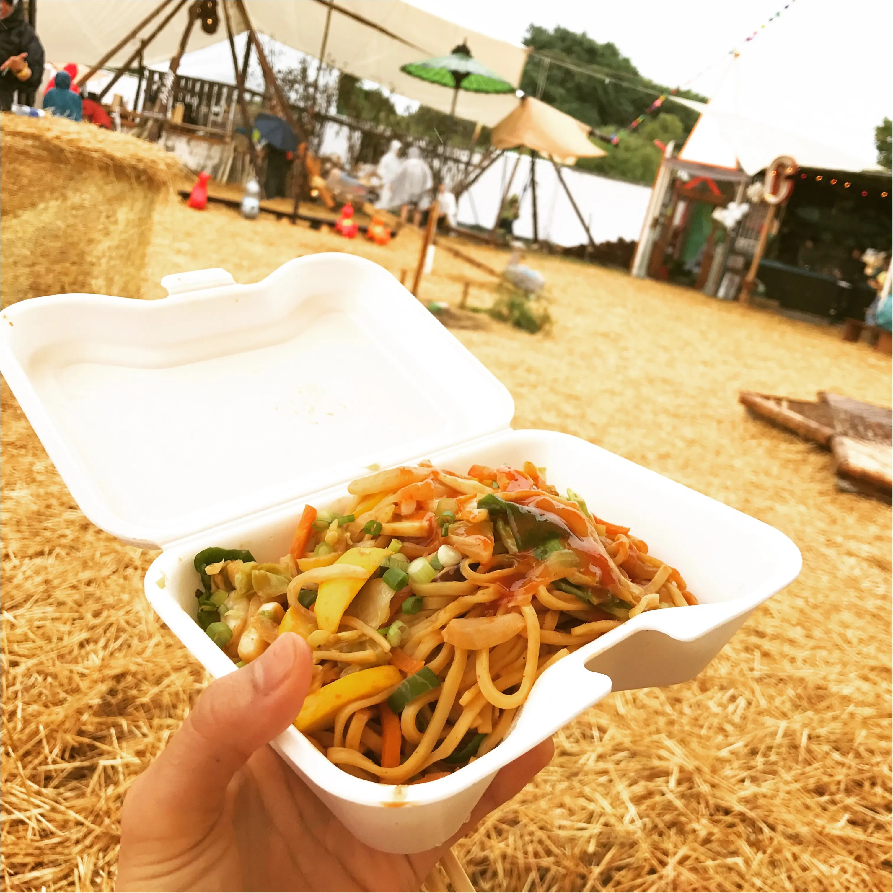 夏だ!FESだ!RISINGSUNROCKFESTIVALだ!フェスの2日目はこんな感じ_4