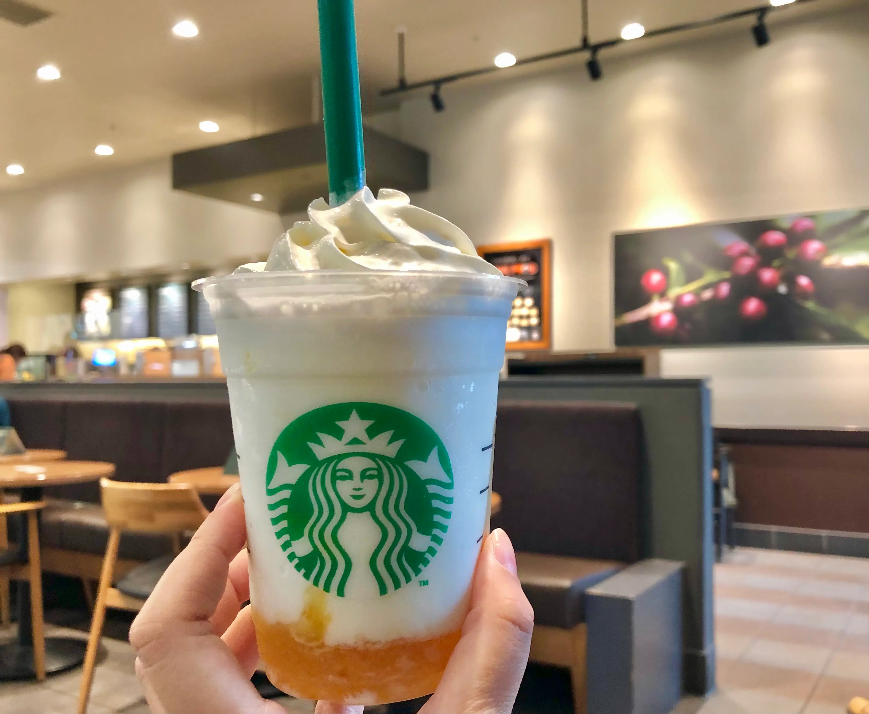 バニラクリームフラペチーノ×シトラス果肉入り