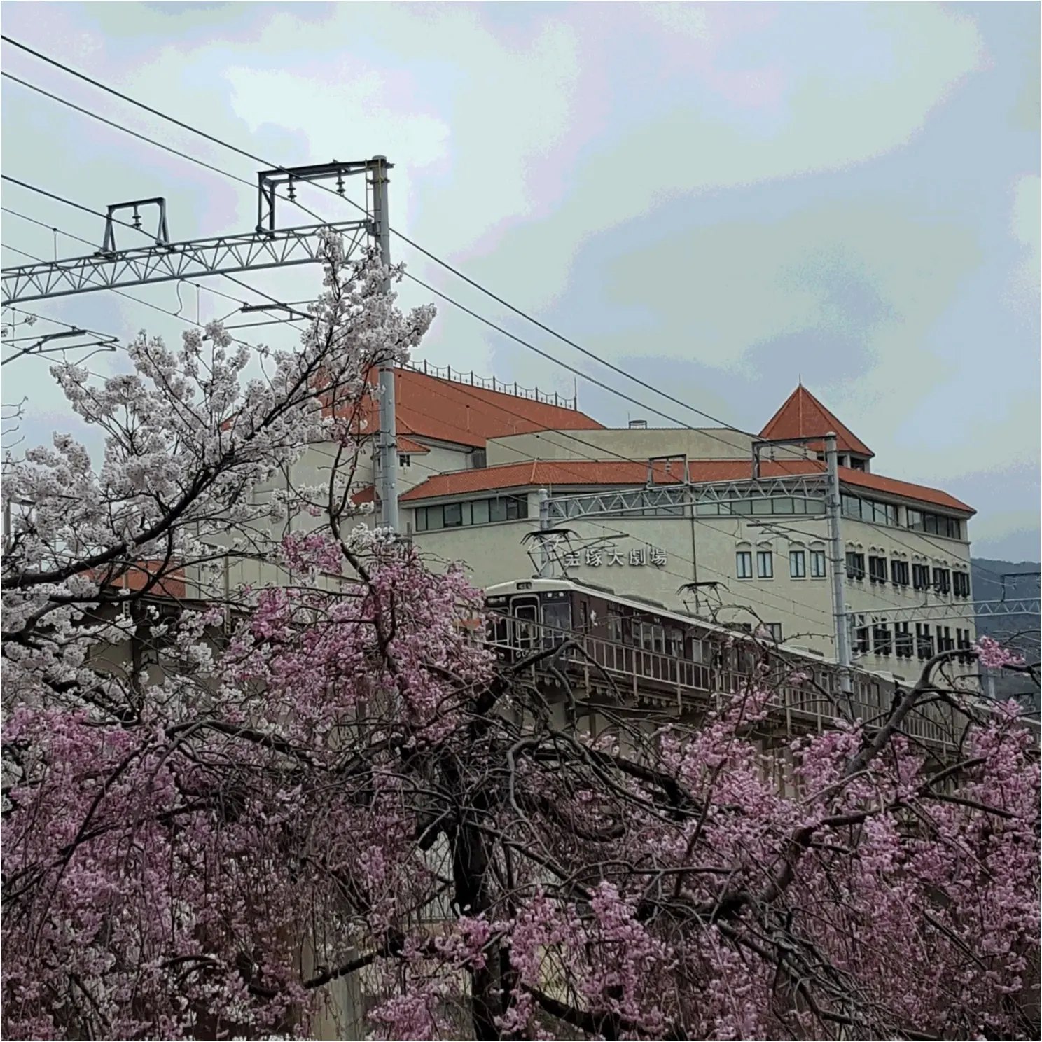 花のみちを通って、おしゃれな和カフェでほっこりしませんか?_1