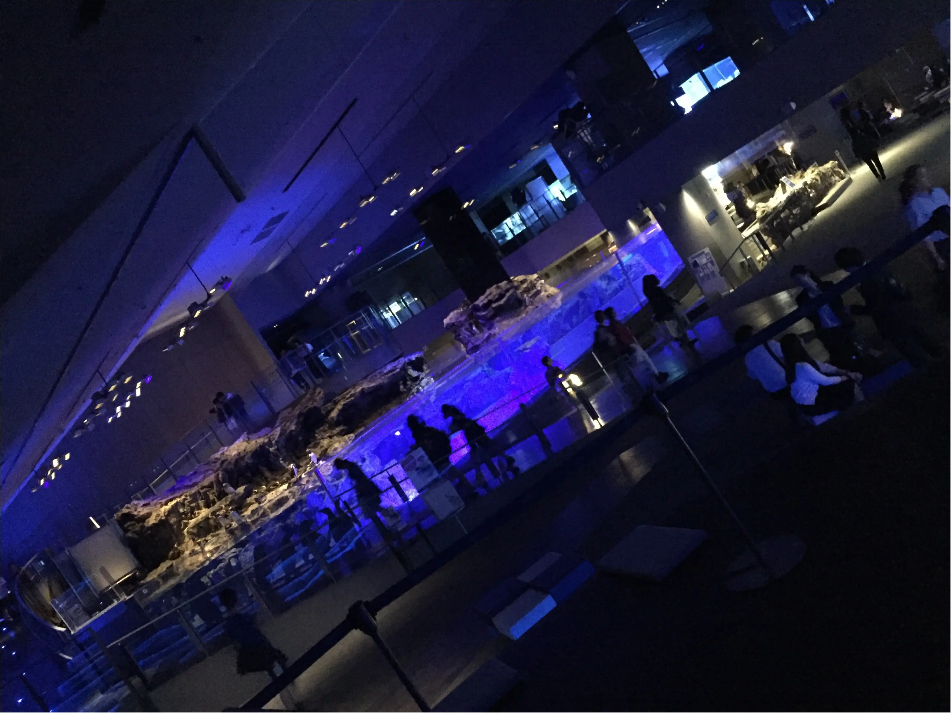 【6/18まで】すみだ水族館のスペシャルコラボ✨期間限定『ほたるの夜』でロマンチックな夜を♪♪ _4