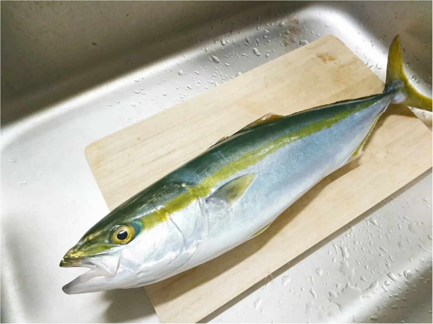 【おでかけ】自分で釣ったら、美味しさも倍増♪ 大海原に囲まれて、“海釣り” に挑戦してきました!_4