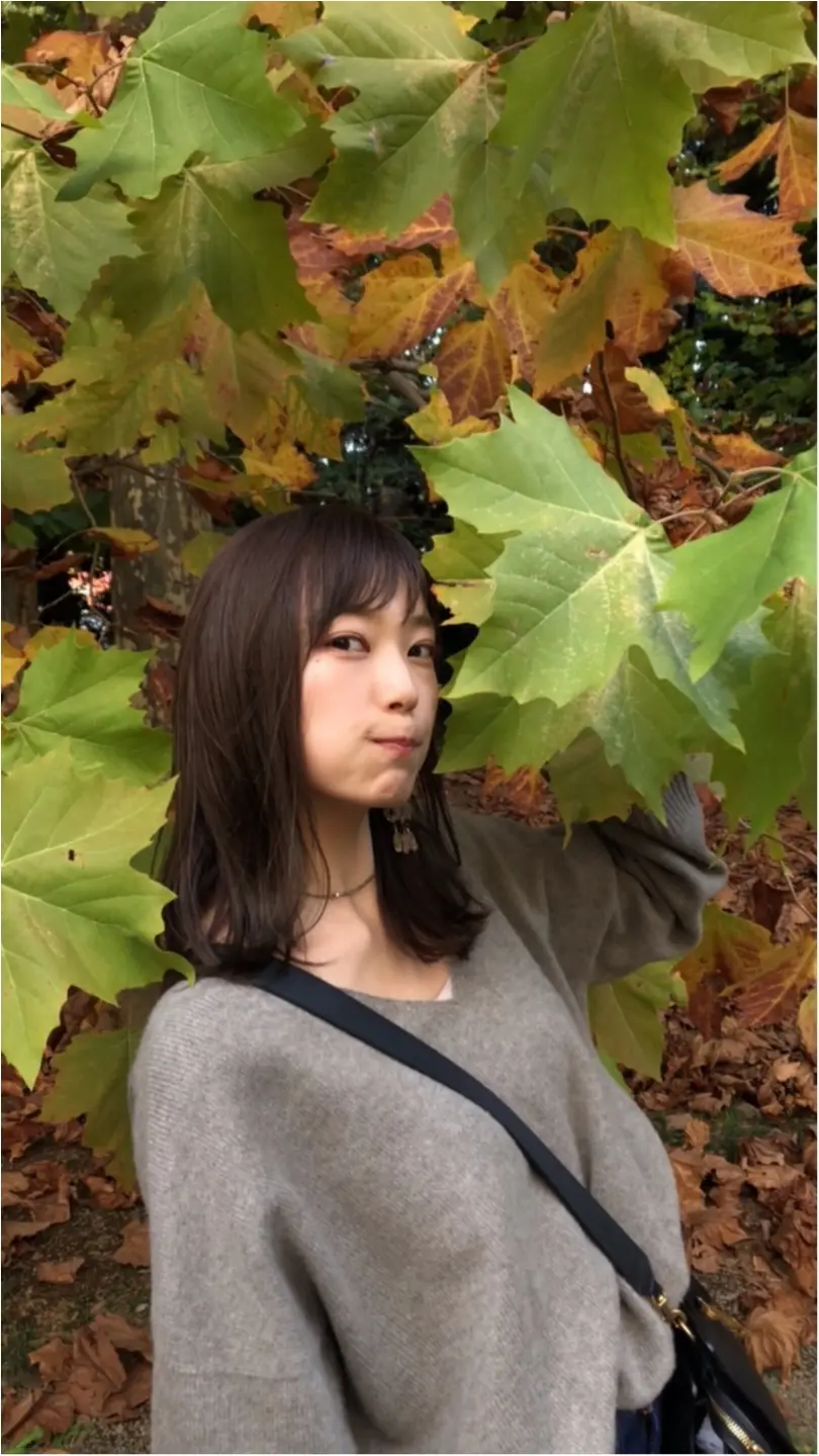 《紅葉にみ行こうよう!》新宿御苑の紅葉速報!見頃はいつごろ??_3