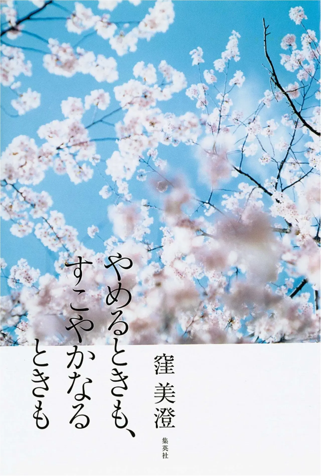 あなたは心から誓えますか? 窪 美澄さんの『やめるときも、すこやかなるときも』 【今月のイチオシ★BOOK】_1