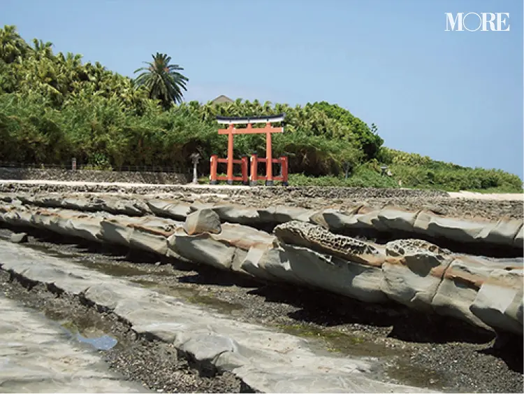 海沿いの複合施設『STAIRS OF THE SEA』、パワースポット『青島神社』へ♡ 宮崎県宮崎市女子のリアル【ニッポン全国ご当地OLのリアルな生態リサーチ】_4