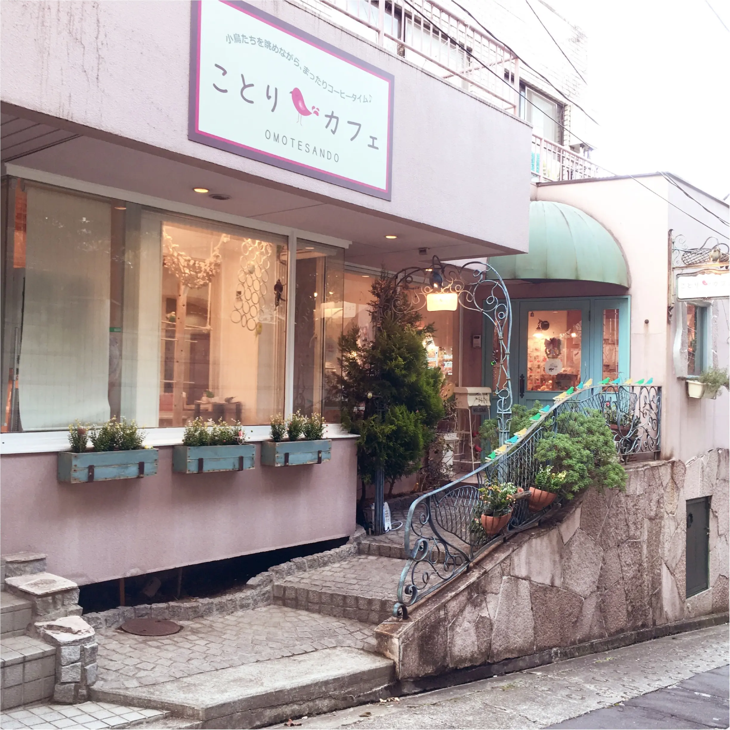 『カピバラさん×ことりカフェ』コラボ♡ことりカフェ表参道店でカピバラさんケーキを食べてきました(﹡´◡`﹡ )_1