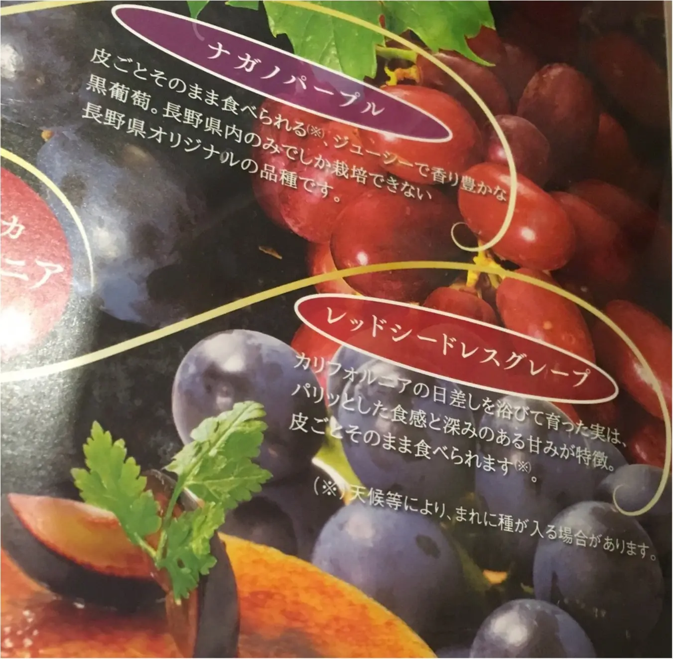 ロイヤルホストで本格派ぶどうパフェ〜ぶどうの食べ比べ_2