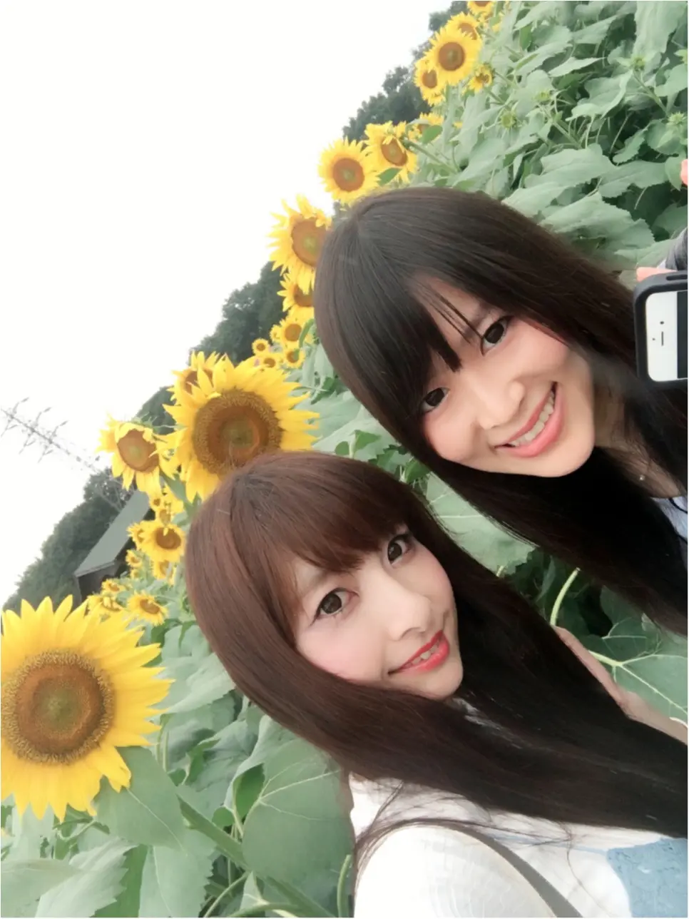 ♡【都内から1時間ちょっと】ひまわり畑見てきたよー♡モアハピ◡̈のぞみ♡_5