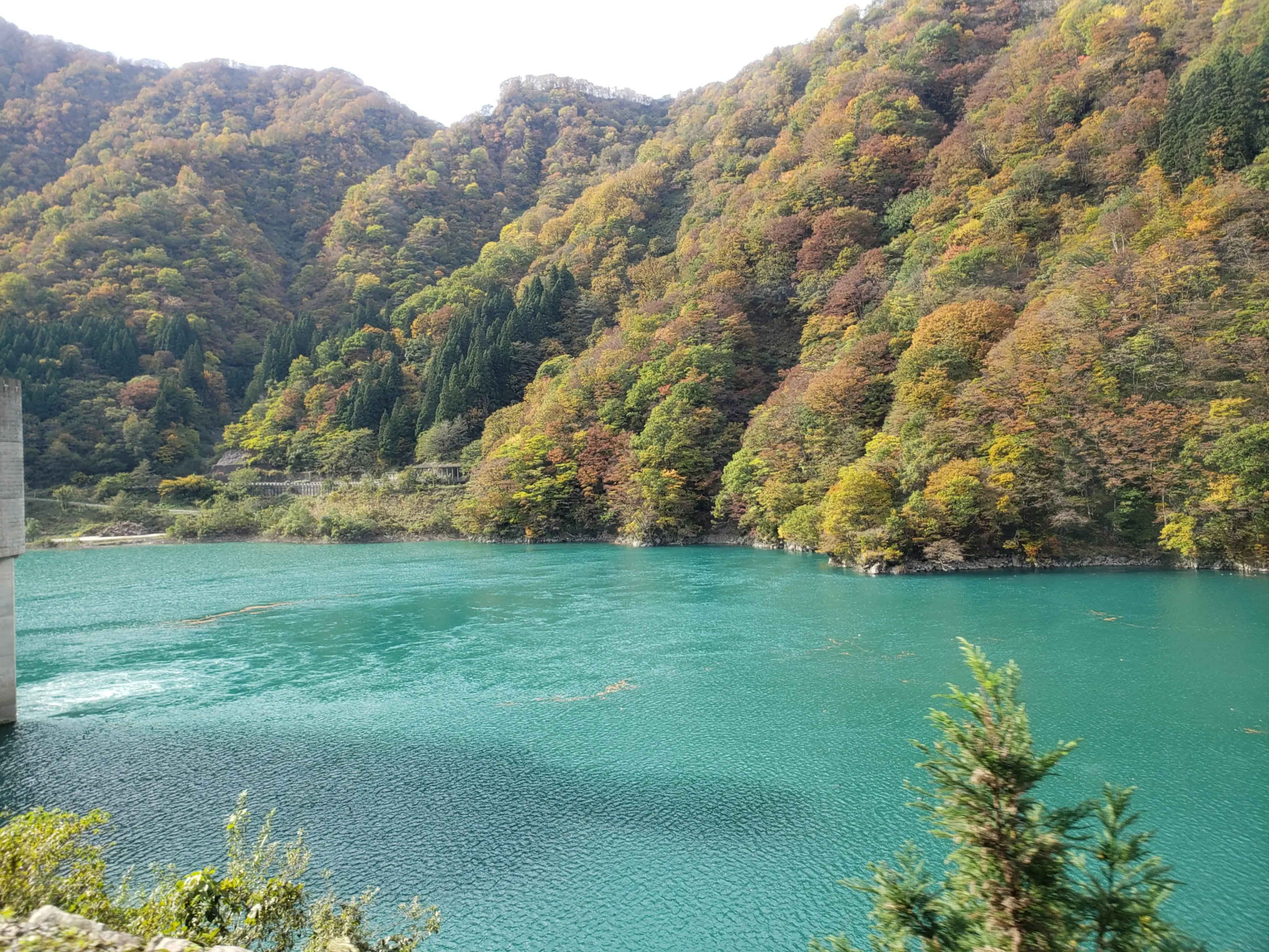 《まぐPRESENTS☆》秋こそ行こう!【北陸・富山】で紅葉&グルメ&温泉の旅_5