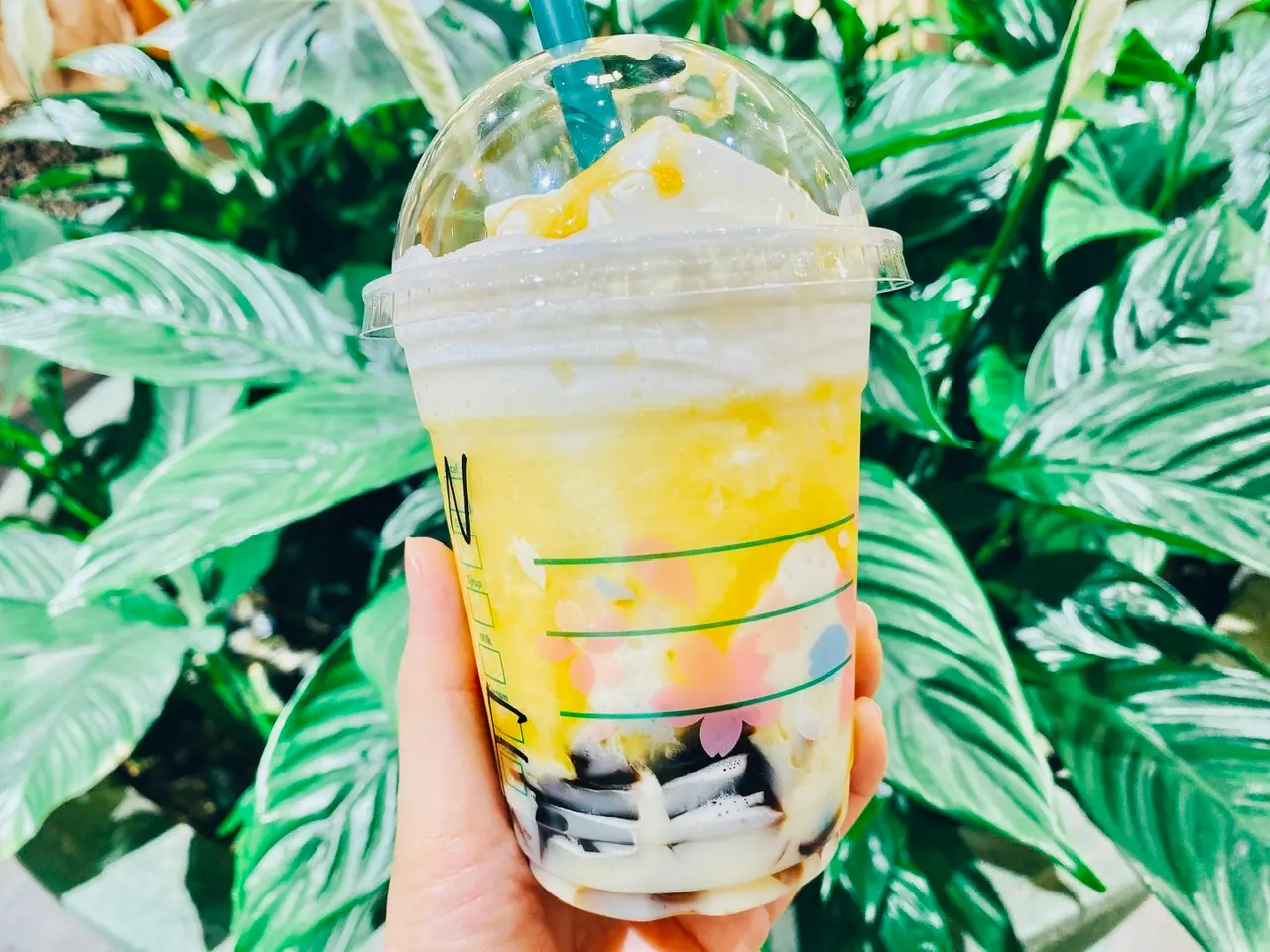 【スタバ新作】最高のコラボ!《バタースコッチ コーヒー ジェリーフラペチーノ》は甘党女子必見♡_3
