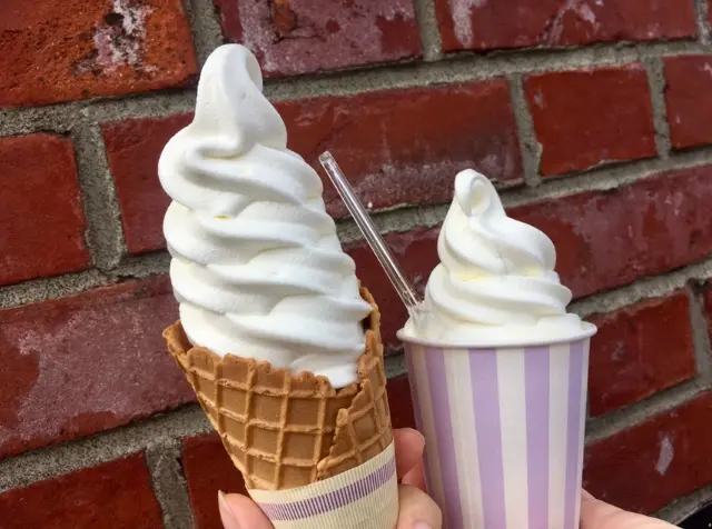 【北海道】1日5食食べた私のイチオシグルメ!札幌に行く際には食べて欲しい至極の一品。_3