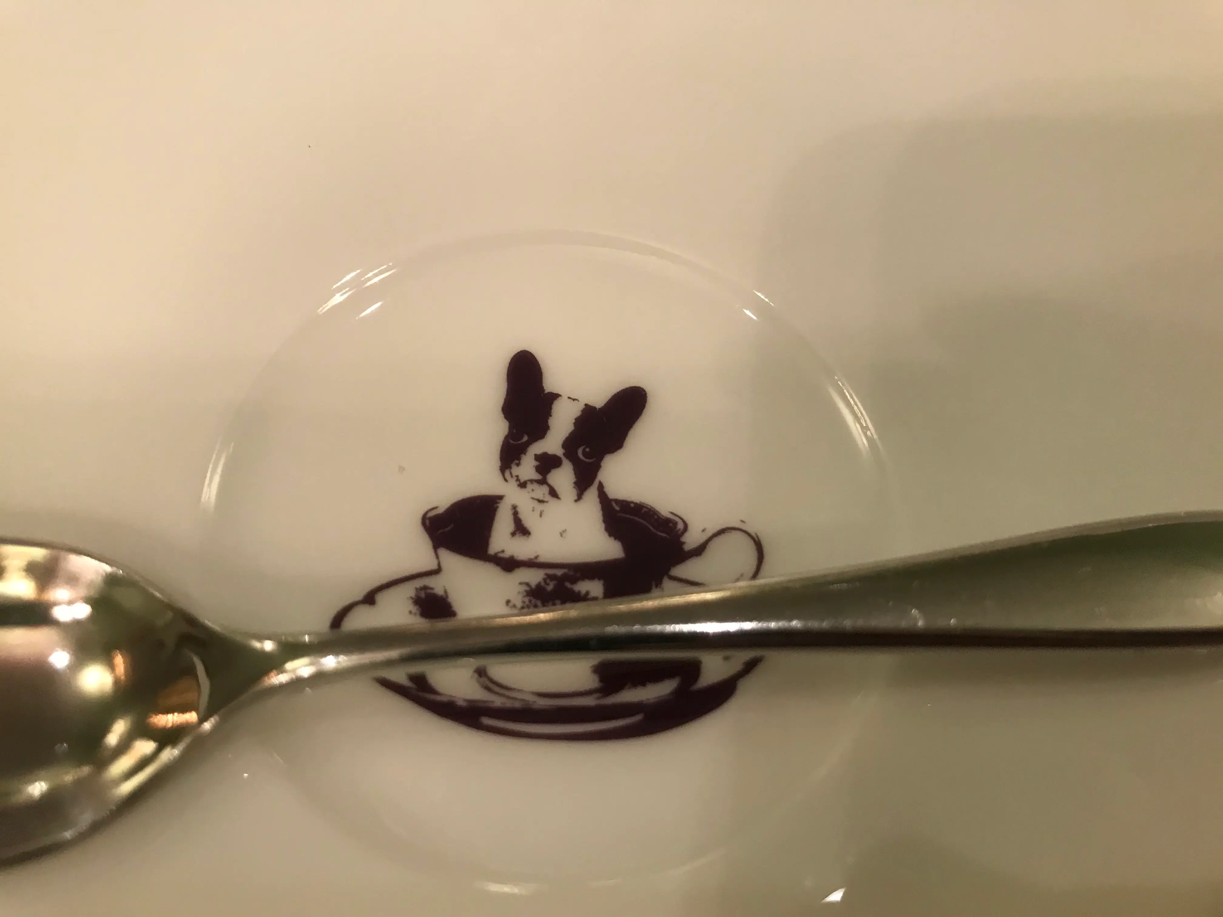 【パリのお洒落なお菓子屋さん】風な横浜元町発祥のカフェ『パブロフ』お手土産にも最適!_2