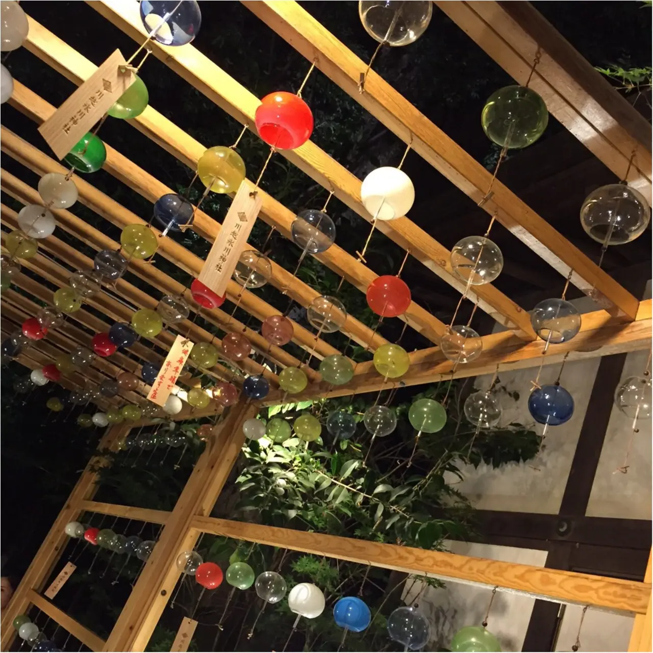 【8/31まで】写真だけでも幸せな気持ちになれる?フォトジェニックな夏の風物詩をお裾分け✨✨今話題の《*川越氷川神社*》に行ってきました♪♪_2
