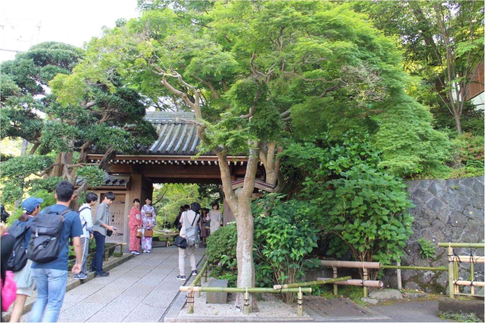 【鎌倉】着物で行きたいスポットNo.1♡フォトジェニックすぎる「報国寺」散策!_1