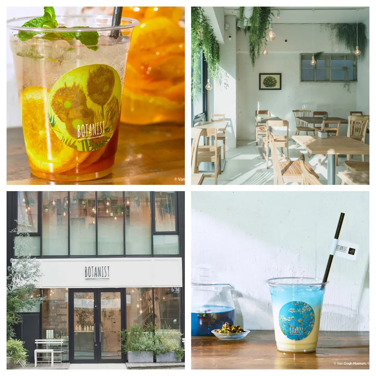 表参道『BOTANIST cafe』で画家ゴッホにインスパイアされた、アートな限定ドリンクが発売!_2