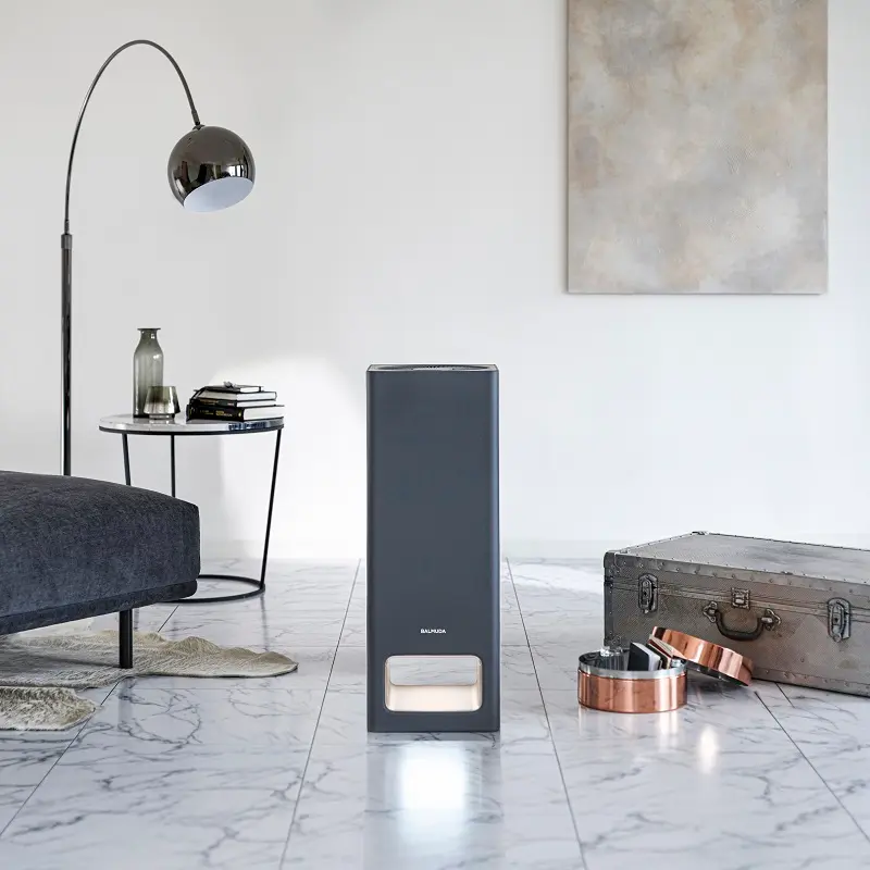 バルミューダの空気清浄機を使った部屋