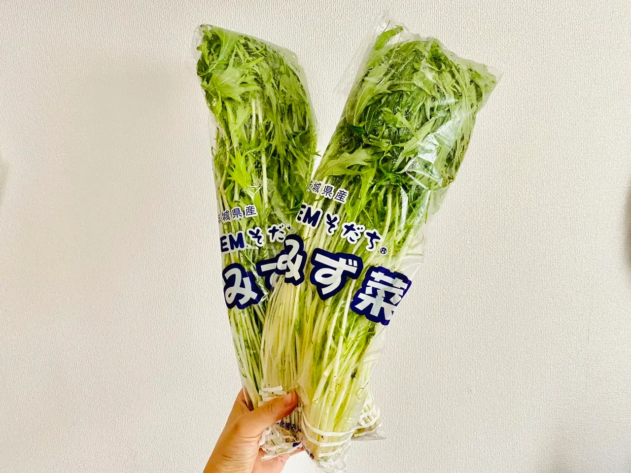 【作り置きおかず】お弁当に大活躍!1つの食材をアレンジして4品★使い切りレシピをご紹介♡〜第8弾〜_2
