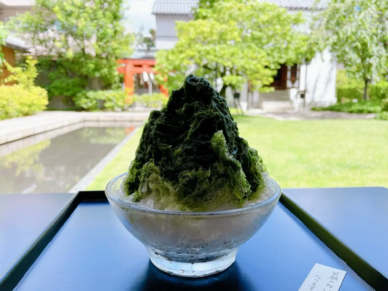 【京都】庭園を眺めながら涼む《虎屋菓寮》_2