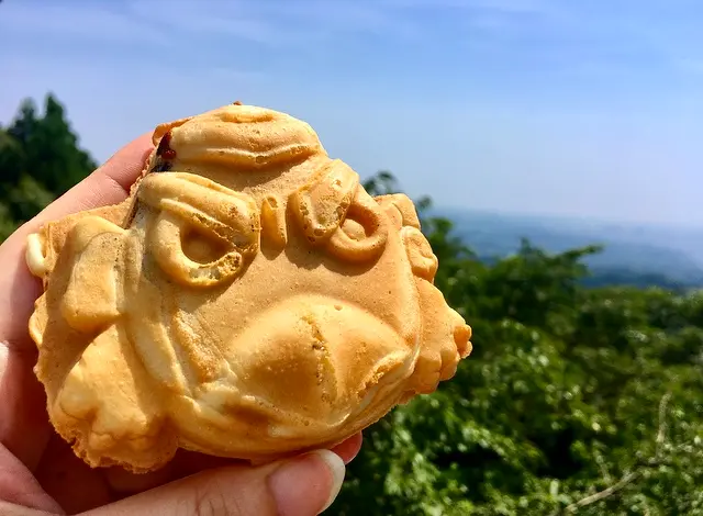 【休日の過ごし方】Go to 高尾山〜小学生ぶりに山登りしてみました〜_6
