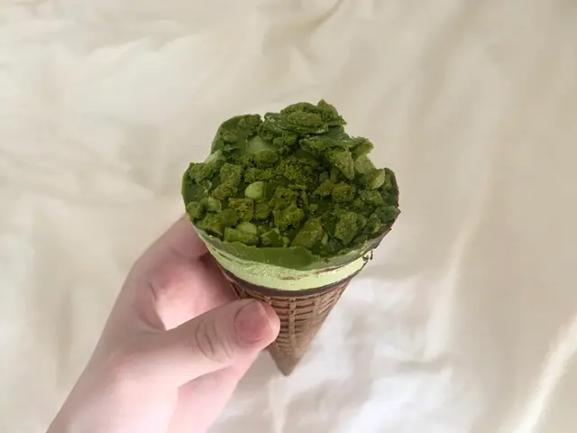 【新作アイス】抹茶好きスルー厳禁!期間限定「大人の和ごころシリーズ」が超濃厚すぎた件♡_5