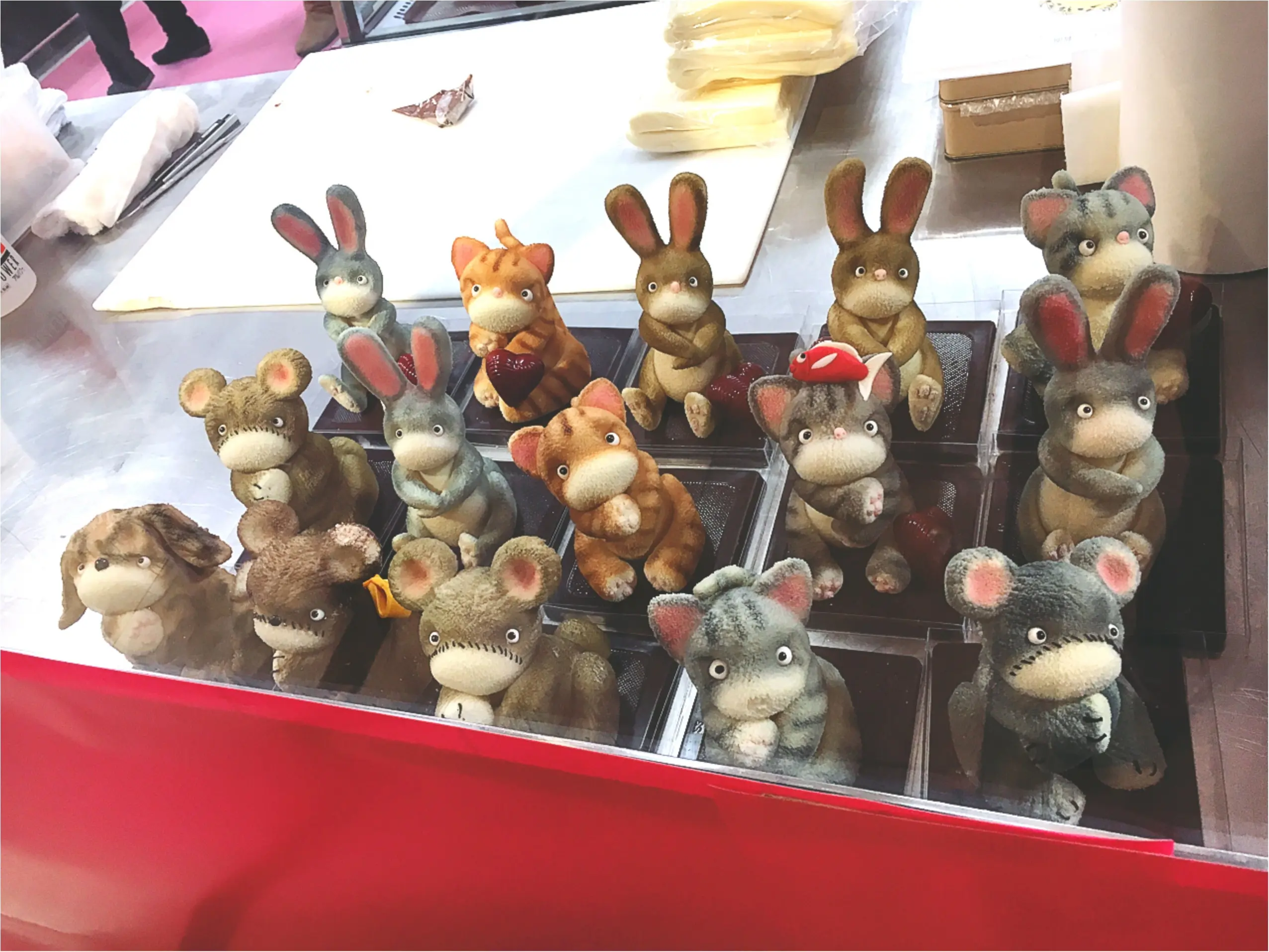 【本日スタート!】バレンタインチョコの宝庫❤️《アムール・デュ・ショコラ》混まずに見られる穴場はここだっ_8