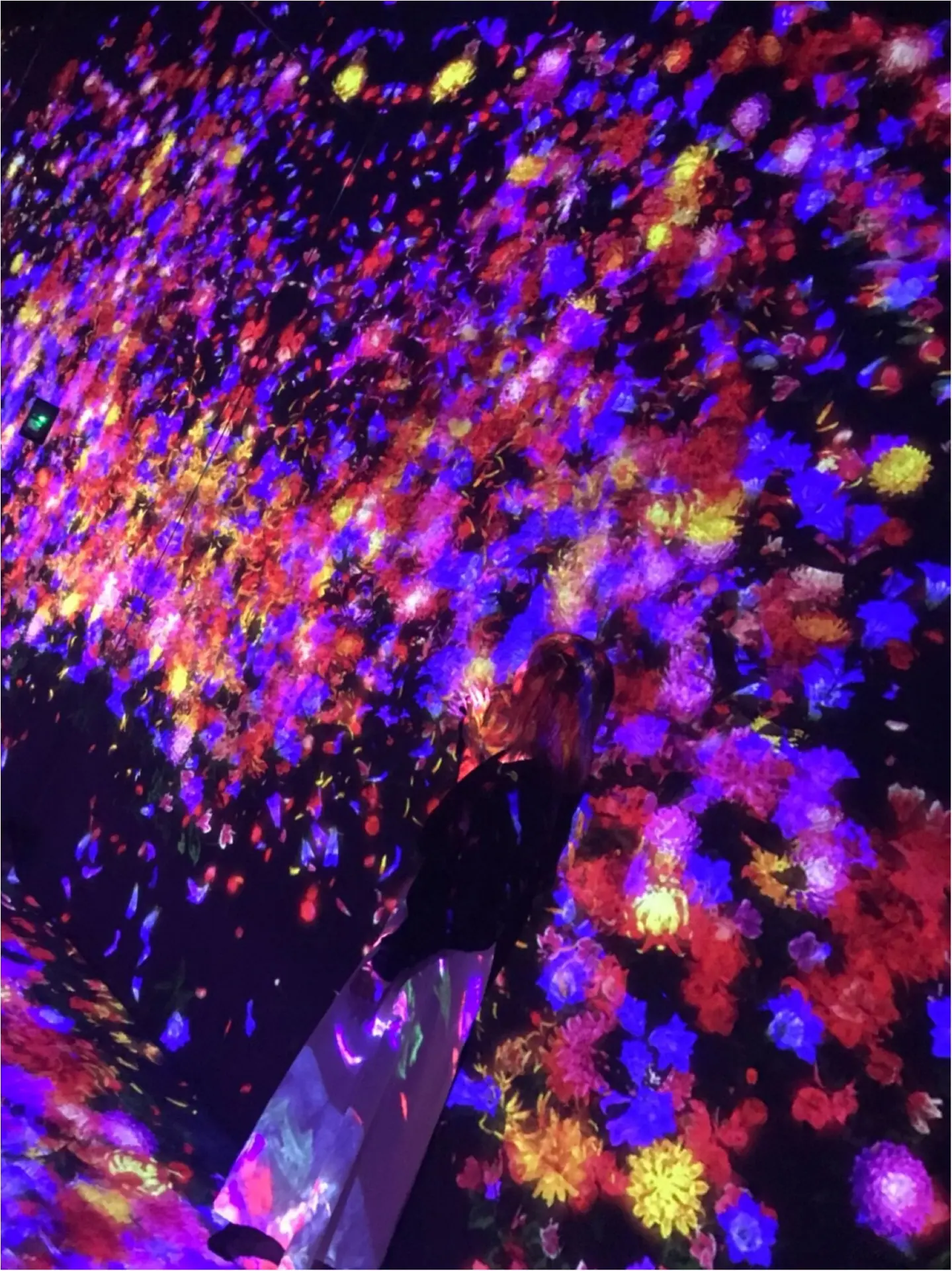 念願の【チームラボ】に行ってきました♡幻想的な空間に感動・興奮・鳥肌!!_5