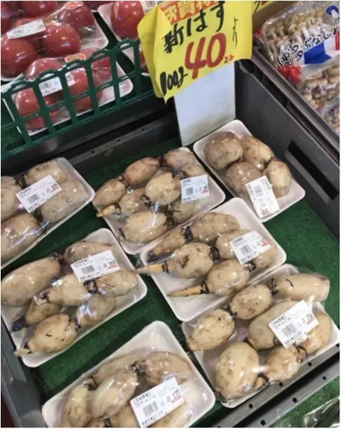 今が旬!健康にも美容にも良い《れんこん料理》をご紹介★れんこん農家の娘が伝授します!_2