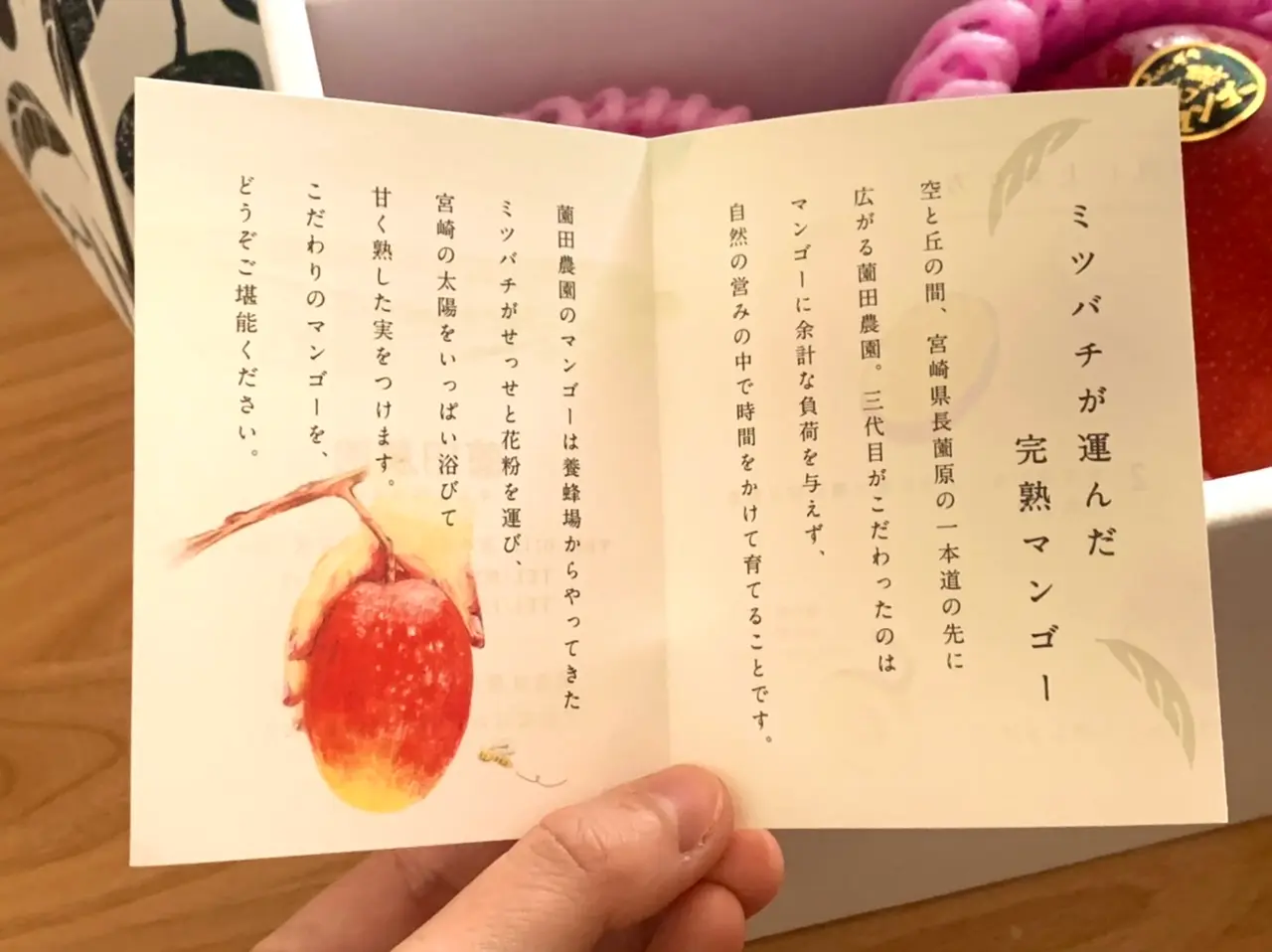 【高級マンゴー】はふるさと納税で!_3