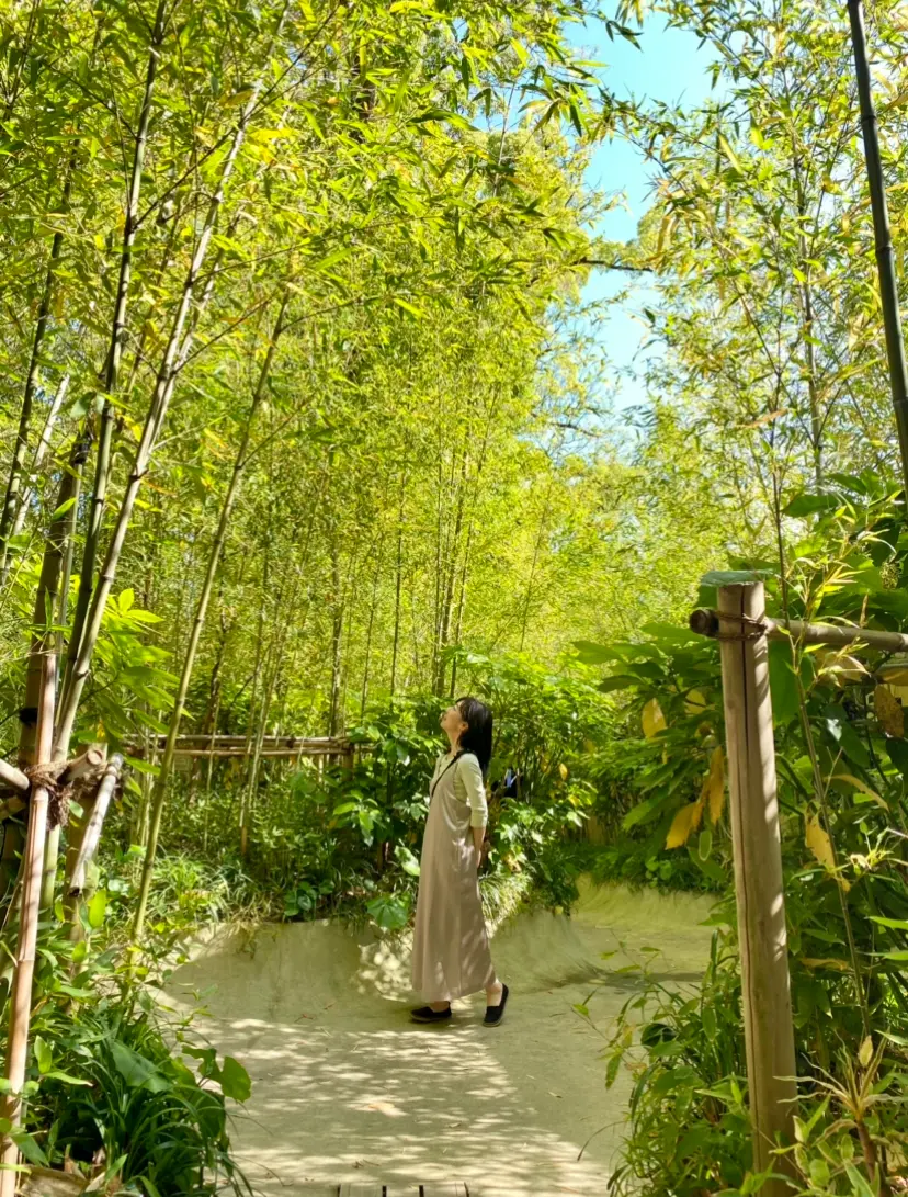 【パワースポット】熱海にある来宮神社で来福祈願_7